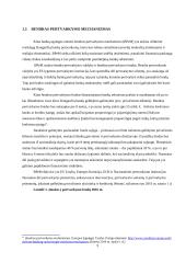 Bankų sąjunga: kūrimo eiga ir problemos 8 puslapis