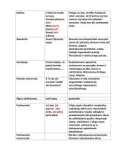 Język dzieła literackiego 3 puslapis