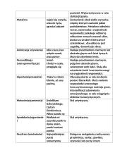 Język dzieła literackiego 4 puslapis