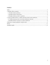 Biudžeto deficitas ir jo finansavimas. Valdžios sektoriaus skola. 2 puslapis