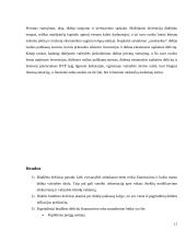 Biudžeto deficitas ir jo finansavimas. Valdžios sektoriaus skola. 11 puslapis