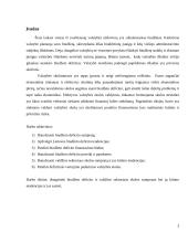 Biudžeto deficitas ir jo finansavimas. Valdžios sektoriaus skola. 3 puslapis