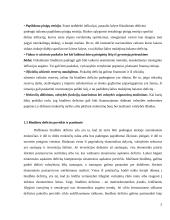 Biudžeto deficitas ir jo finansavimas. Valdžios sektoriaus skola. 5 puslapis