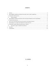 Ekonomikos liberalizavimas ir pajamų nelygybė. Ekonomikos augimo nestabdanti konsolidacija 2 puslapis