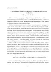 Ekonomikos liberalizavimas ir pajamų nelygybė. Ekonomikos augimo nestabdanti konsolidacija 6 puslapis