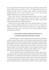 Ekonomikos liberalizavimas ir pajamų nelygybė. Ekonomikos augimo nestabdanti konsolidacija 7 puslapis