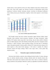 Ekonomikos liberalizavimas ir pajamų nelygybė. Ekonomikos augimo nestabdanti konsolidacija 9 puslapis