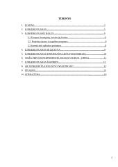 Junkerio planas ES investicijoms skatinti 2 puslapis