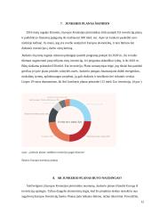 Junkerio planas ES investicijoms skatinti 12 puslapis