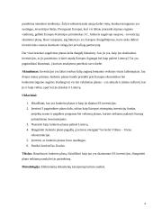 Junkerio planas ES investicijoms skatinti 4 puslapis