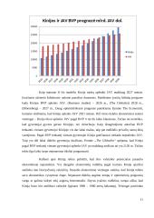 Kinijos ekonomikos fenomenas 11 puslapis