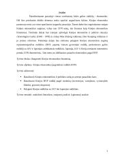 Kinijos ekonomikos fenomenas 3 puslapis