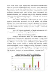 Kinijos ekonomikos fenomenas 5 puslapis