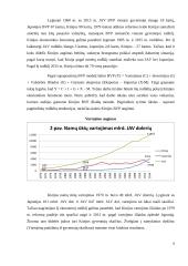 Kinijos ekonomikos fenomenas 6 puslapis