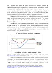 Finansinių stimulų didžiausiose Pasaulio ekonomikose efektyvumas finansų krizės įveikimo procese 11 puslapis