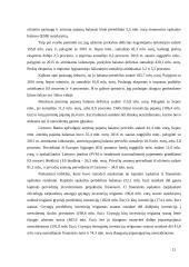 Lietuvos mokėjimo balansas: struktūra ir vertinimas 11 puslapis