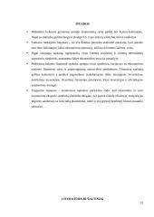 Lietuvos mokėjimo balansas: struktūra ir vertinimas 13 puslapis