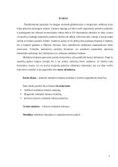 Lietuvos mokėjimo balansas: struktūra ir vertinimas 3 puslapis