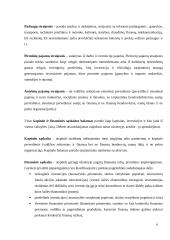 Lietuvos mokėjimo balansas: struktūra ir vertinimas 6 puslapis