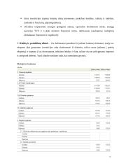 Lietuvos mokėjimo balansas: struktūra ir vertinimas 7 puslapis