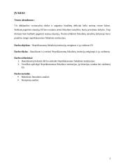 Nepriklausomų fiskalinių institucijų steigimas ir jų vaidmuo ES 2 puslapis