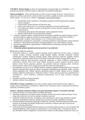 Vyriausybės darnaus žmogaus, visuomenės ir ekonomikos vystymas