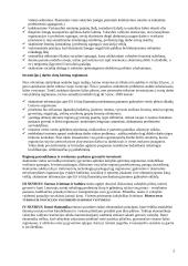 Vyriausybės darnaus žmogaus, visuomenės ir ekonomikos vystymas 2 puslapis