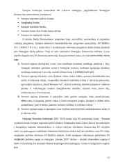 Europos bendrijų nuosavi ištekliai: struktūra ir vertinimas 11 puslapis