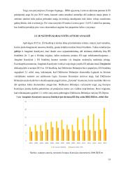 Europos bendrijų nuosavi ištekliai: struktūra ir vertinimas 12 puslapis