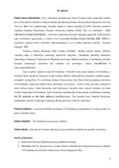 Europos bendrijų nuosavi ištekliai: struktūra ir vertinimas 2 puslapis