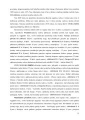 Racionalių lūkesčių teorija ir jos praktinis taikymas 11 puslapis