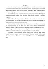 Racionalių lūkesčių teorija ir jos praktinis taikymas 13 puslapis