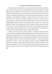 Racionalių lūkesčių teorija ir jos praktinis taikymas 6 puslapis