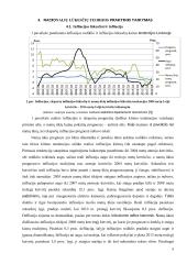 Racionalių lūkesčių teorija ir jos praktinis taikymas 8 puslapis