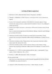 Taupymo poveikis kapitalo ir gamybos lygiui 17 puslapis