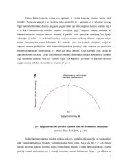 Taupymo poveikis kapitalo ir gamybos lygiui 9 puslapis