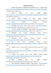 Vokietijos ekonominis potencialas ir jo panaudojimas ES ekonomikai skatinti 13 puslapis