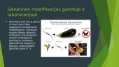 Viskas apie genetišką modifikavimą 11 puslapis