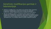 Viskas apie genetišką modifikavimą 12 puslapis