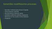 Viskas apie genetišką modifikavimą 4 puslapis
