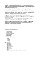 Meninės priemonės, žanrai ir t.t. 3 puslapis