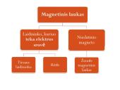 Elektromagnetizmas ir elektros srovė 2 puslapis