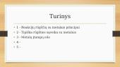 Metalų sąveikos su rūgštimis dėsningumai 2 puslapis