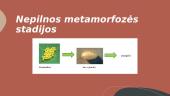 Organizmai turintys nepilną metamorfozę. 6 puslapis