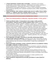 Kultūrinė įvairovė ir daugiakalbystė 4 puslapis