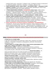 Kultūrinė įvairovė ir daugiakalbystė 6 puslapis