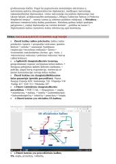 Kultūrinė įvairovė ir daugiakalbystė 7 puslapis