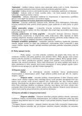 Tarptautiniai ekonominiai ryšiai 13 puslapis