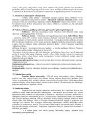 Tarptautiniai ekonominiai ryšiai 16 puslapis