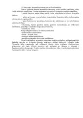 Tarptautiniai ekonominiai ryšiai 17 puslapis